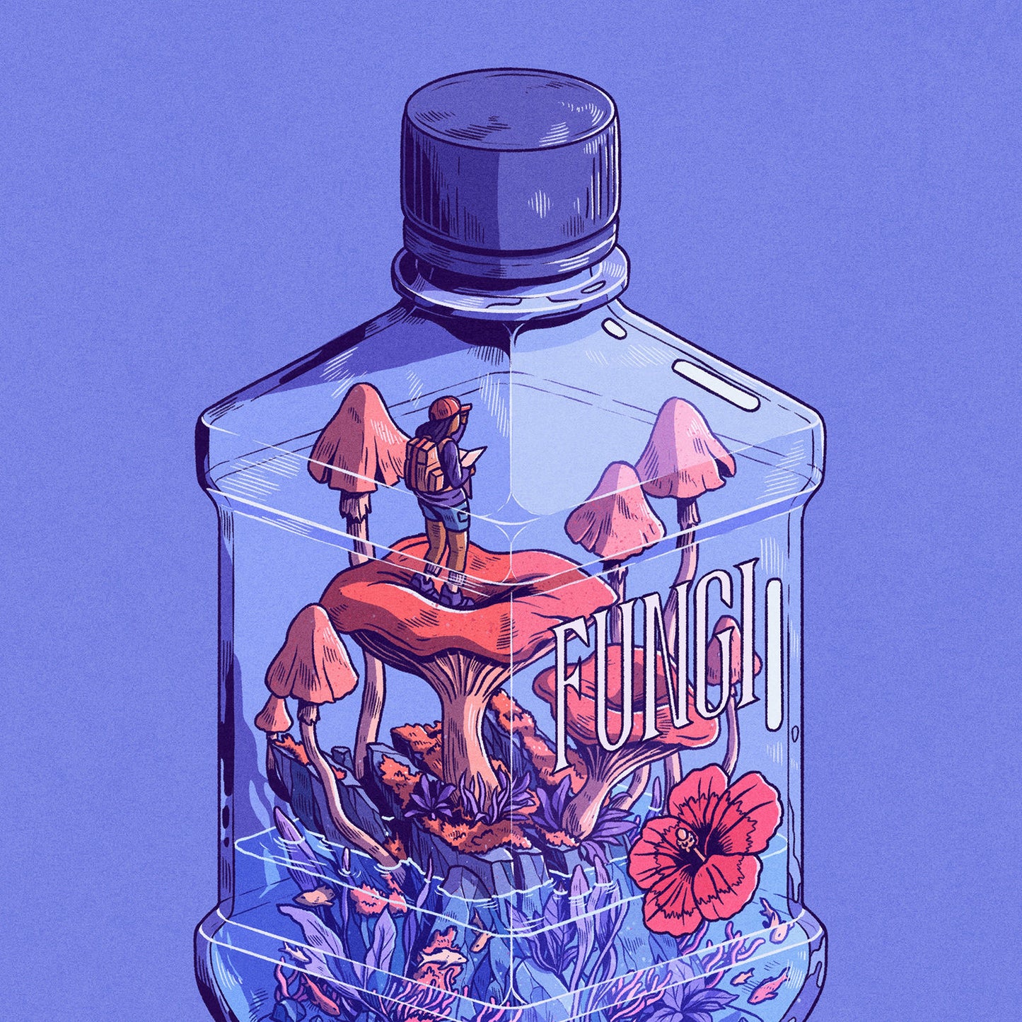 Life Contained: Explore